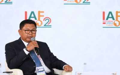 Panel Discussion Session IV of IAF II