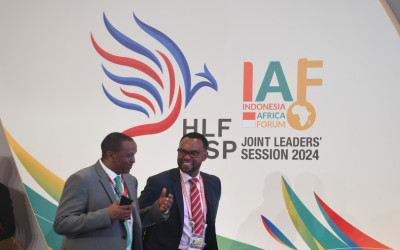 IAF 2024 Results in US$1.5 Billion in Energy Investments for Africa